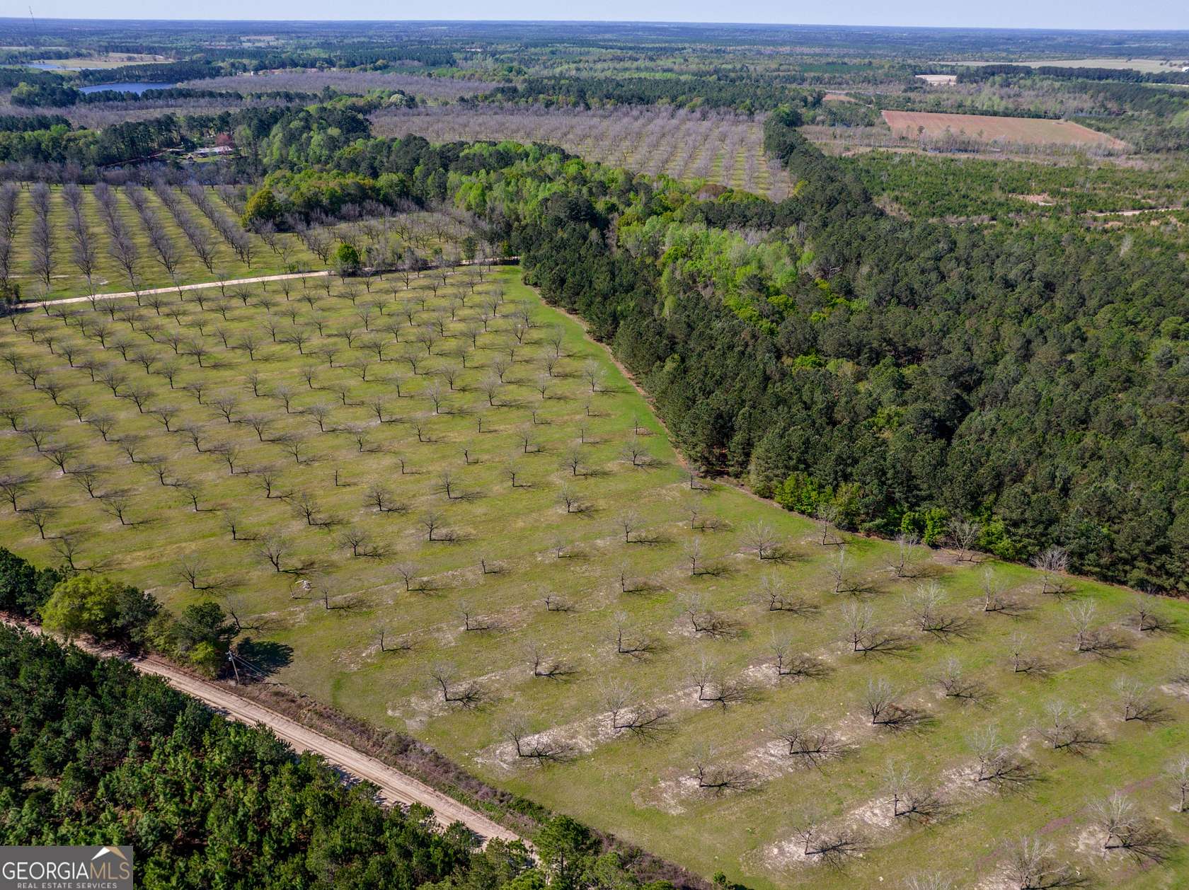 55.6 Acres of Recreational Land for Sale in Cobbtown, Georgia