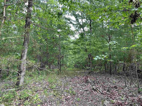 48.4 Acres of Recreational Land for Sale in Pickens, South Carolina