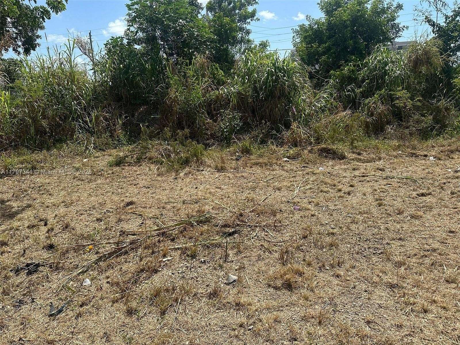 0.33 Acres of Mixed-Use Land for Sale in Miami, Florida