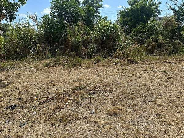 0.33 Acres of Mixed-Use Land for Sale in Miami, Florida