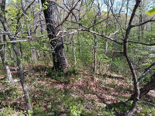 0.46 Acres of Residential Land for Sale in Eucha, Oklahoma