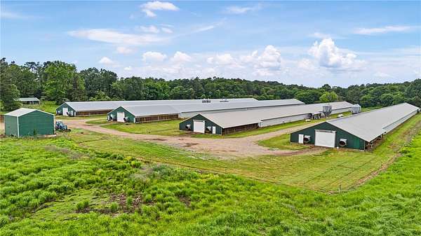 70 Acres of Land for Sale in Havana, Arkansas
