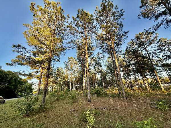 Land for Sale in Blackville, South Carolina