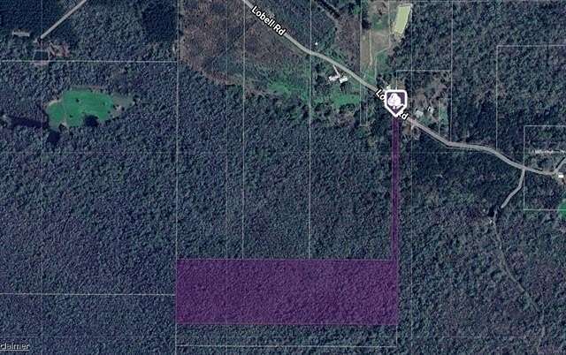30 Acres of Recreational Land for Sale in Holden, Louisiana