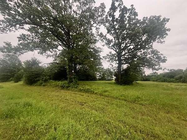 3 Acres of Residential Land for Sale in Brashear, Texas