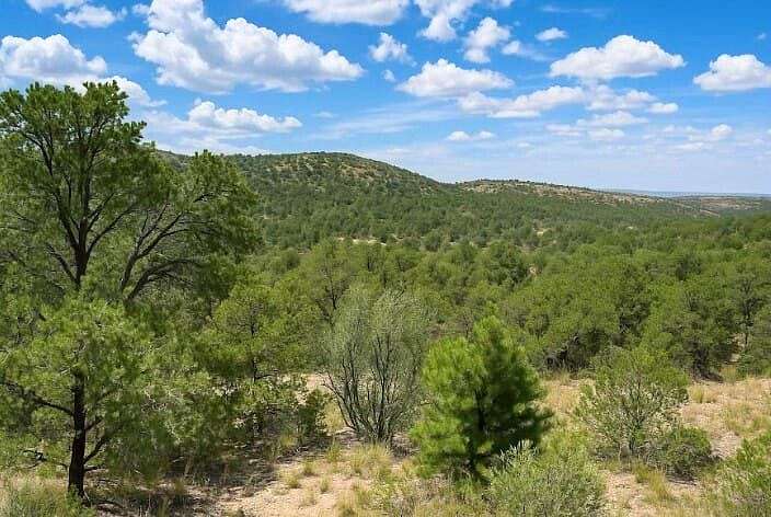 2 Acres of Residential Land for Sale in Timberon, New Mexico