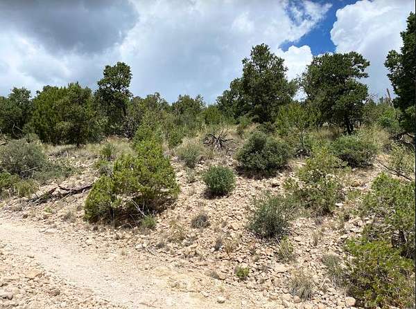 2 Acres of Residential Land for Sale in Timberon, New Mexico - LandSearch