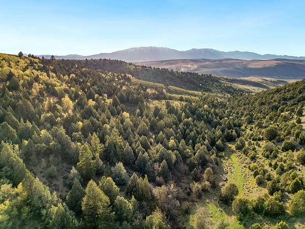 1,040 Acres of Recreational Land & Farm for Sale in Lava Hot Springs, Idaho