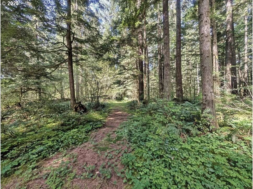 5 Acres of Residential Land for Sale in Brightwood, Oregon
