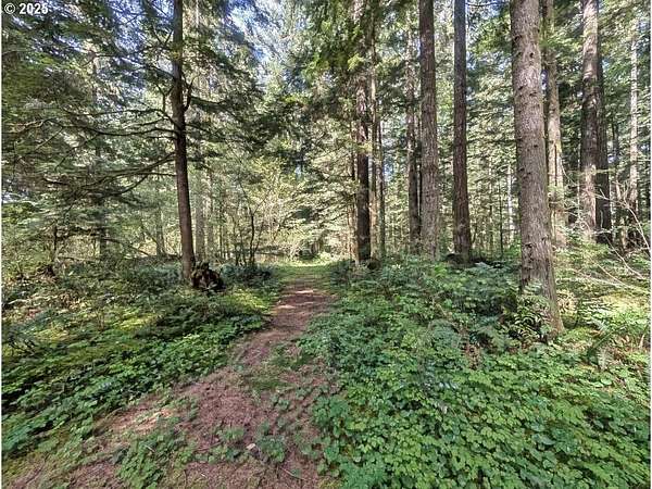 5 Acres of Residential Land for Sale in Brightwood, Oregon