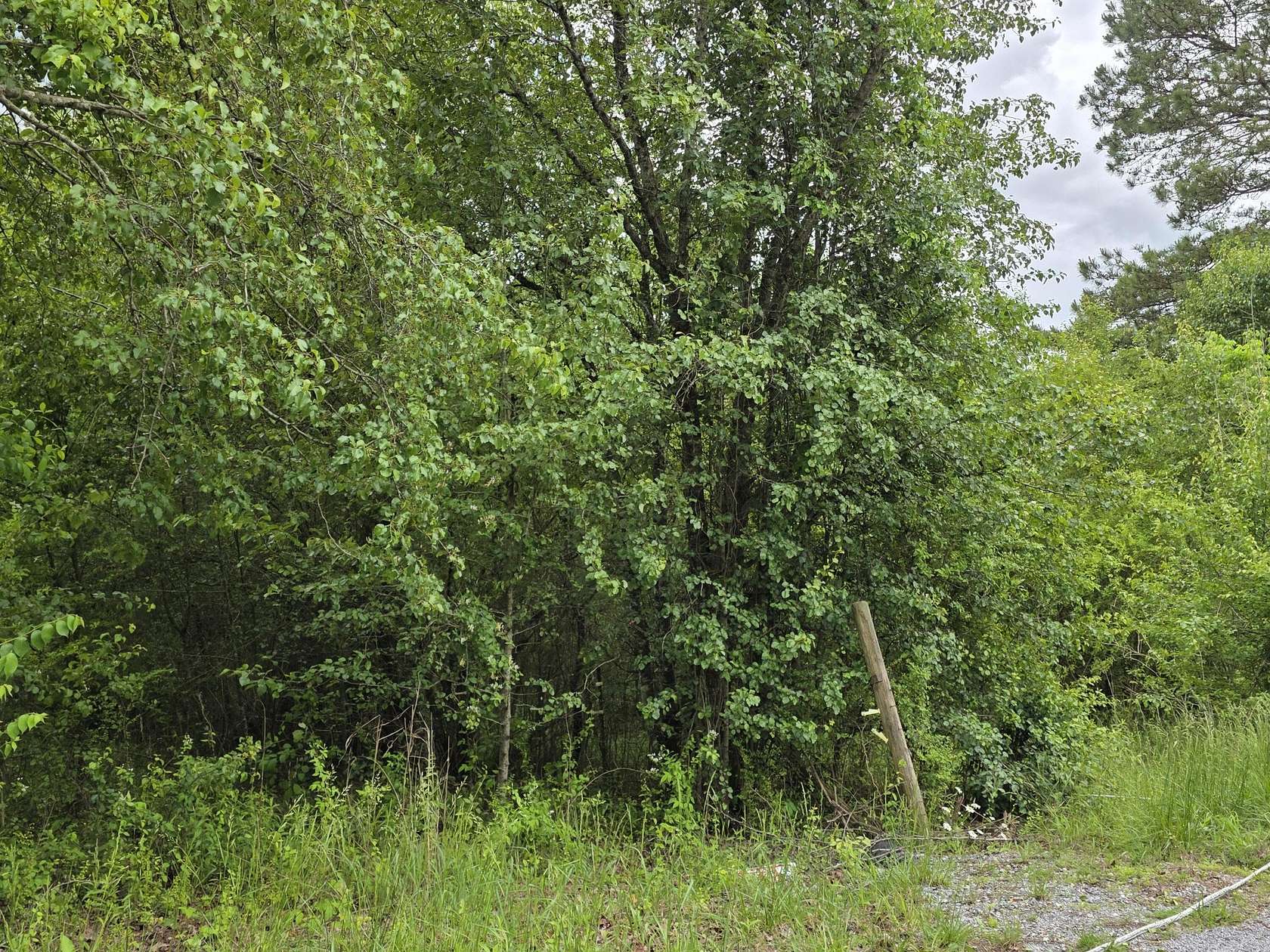 5.34 Acres of Residential Land for Sale in Riceville, Tennessee