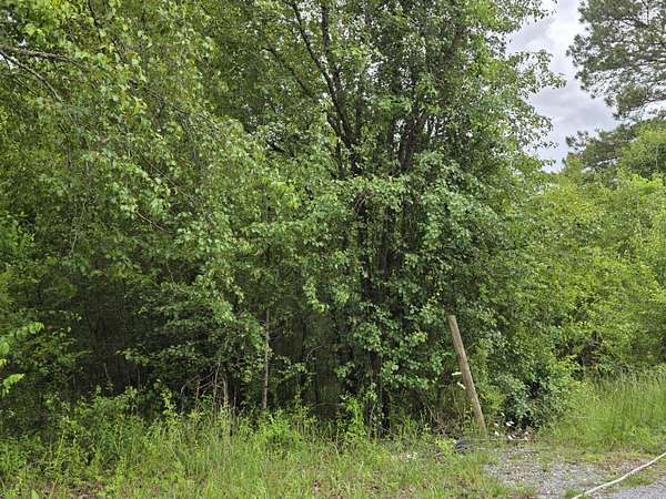 5.34 Acres of Residential Land for Sale in Riceville, Tennessee