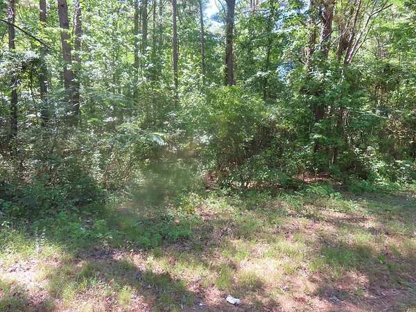 2.4 Acres of Residential Land for Sale in Summerton, South Carolina