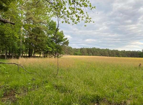 13 Acres of Land for Sale in Michie, Tennessee