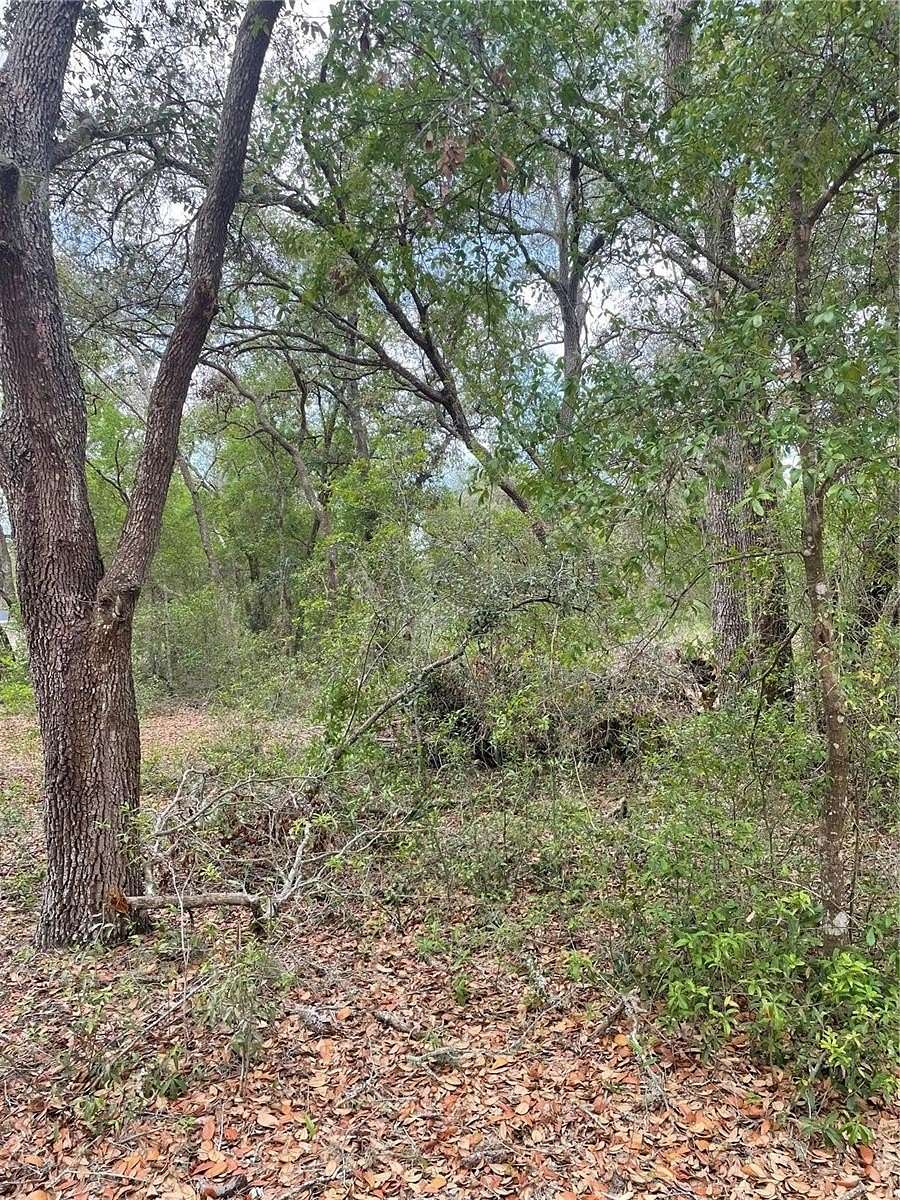 0.22 Acres of Residential Land for Sale in Lady Lake, Florida