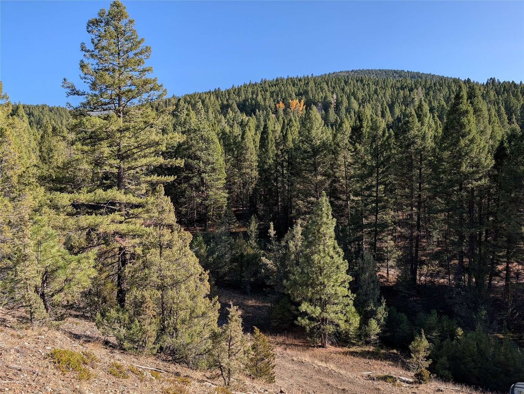 20.4 Acres of Recreational Land for Sale in Philipsburg, Montana