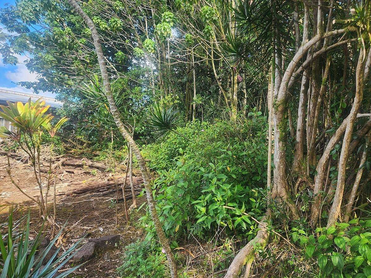 2.26 Acres of Residential Land for Sale in Pahoa, Hawaii