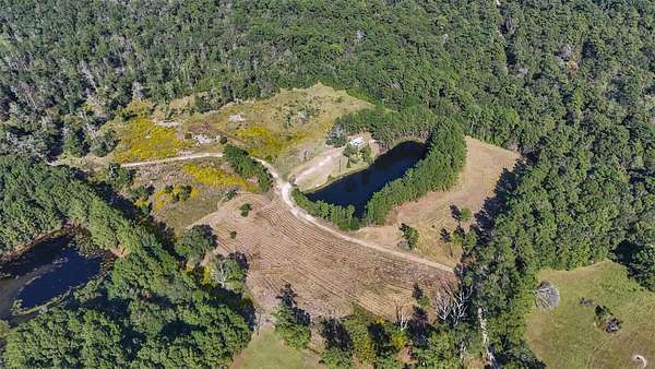 59 Acres of Land for Sale in Thicket, Texas