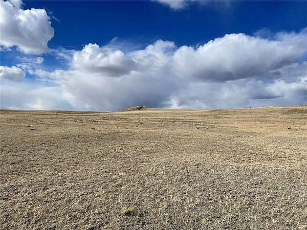 63.3 Acres of Land for Sale in Hartsel, Colorado