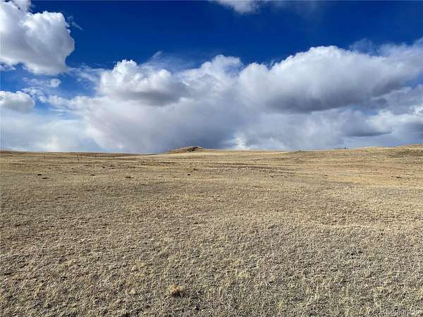63.3 Acres of Land for Sale in Hartsel, Colorado