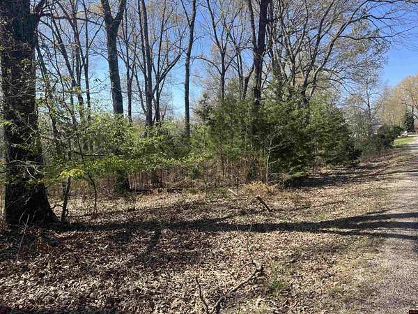 0.99 Acres of Residential Land for Sale in Flippin, Arkansas