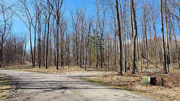 0.86 Acres of Land for Sale in Lewiston, Michigan