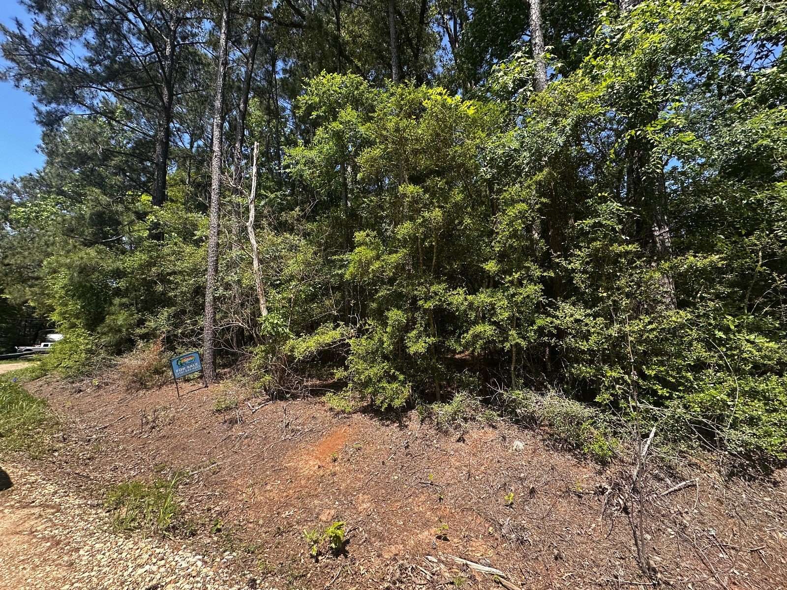 1.4 Acres of Land for Sale in Florien, Louisiana