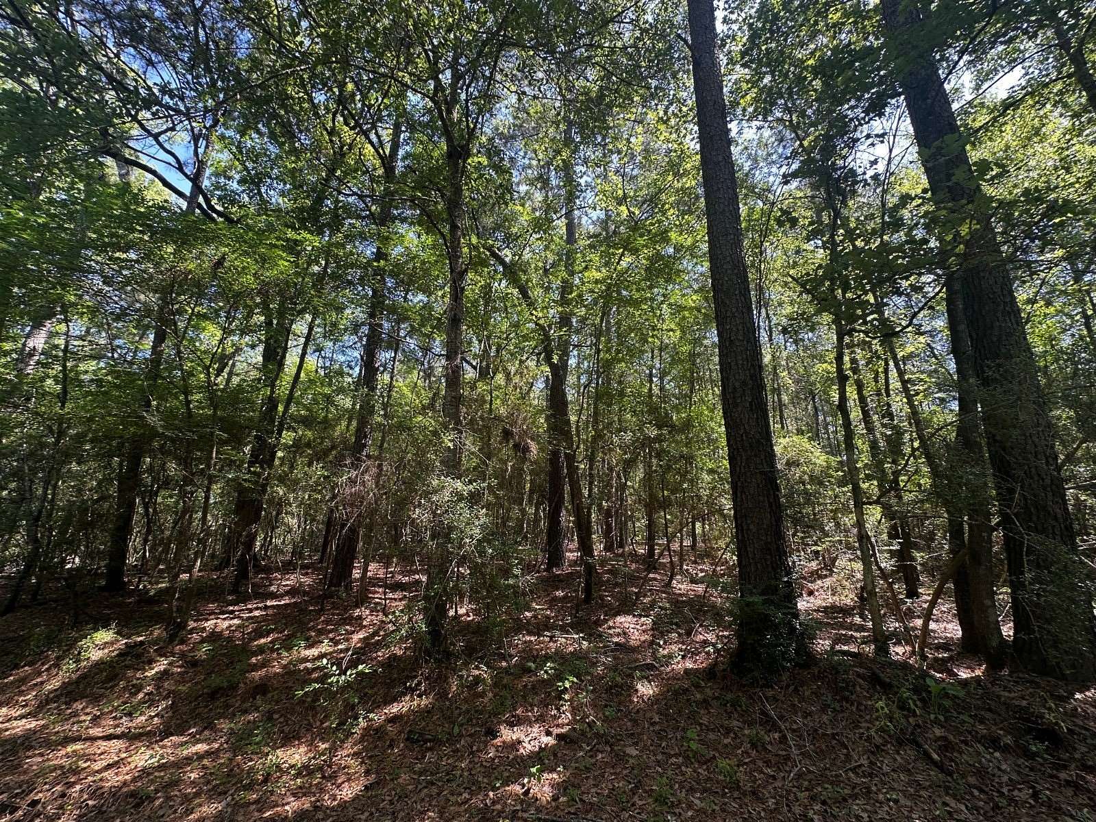 4.3 Acres of Residential Land for Sale in Florien, Louisiana