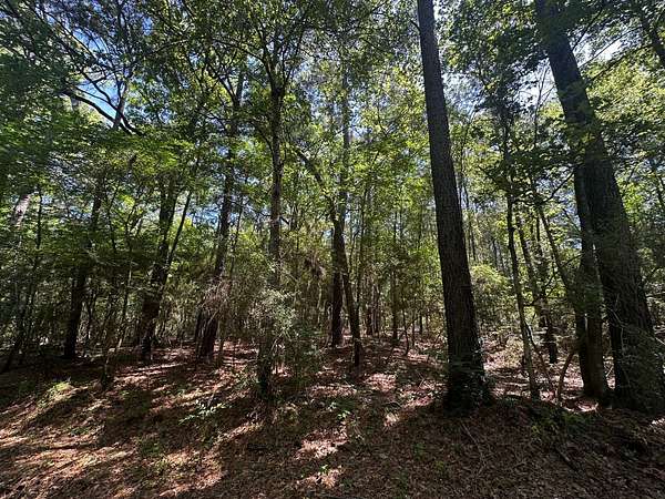 4.3 Acres of Residential Land for Sale in Florien, Louisiana