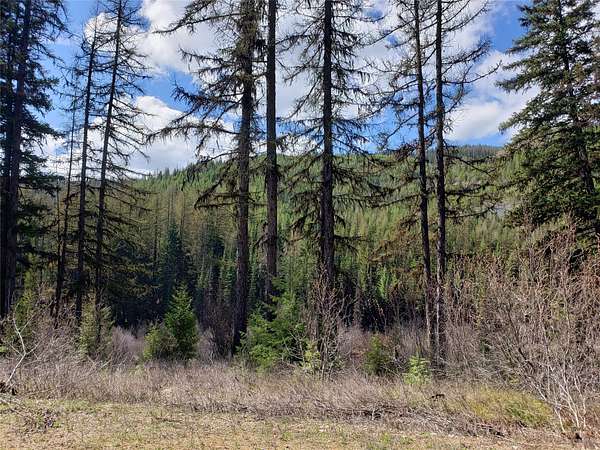 20.5 Acres of Recreational Land for Sale in Huson, Montana
