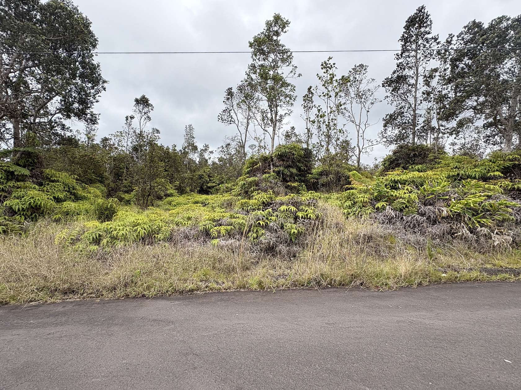 0.49 Acres of Land for Sale in Volcano, Hawaii