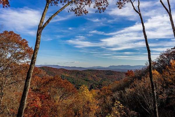 2.49 Acres of Land for Sale in Ellijay, Georgia