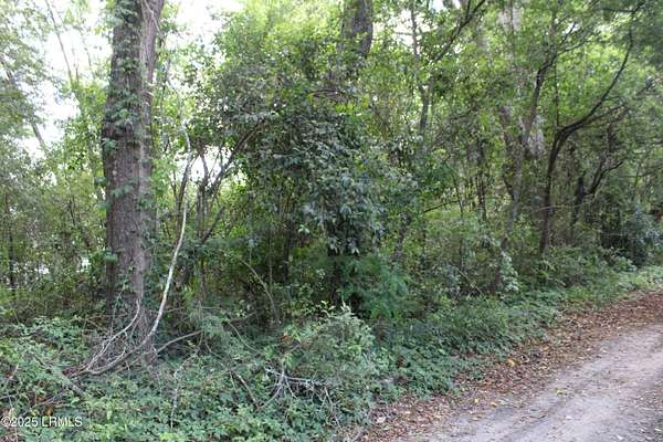 0.19 Acres of Residential Land for Sale in Brunson, South Carolina