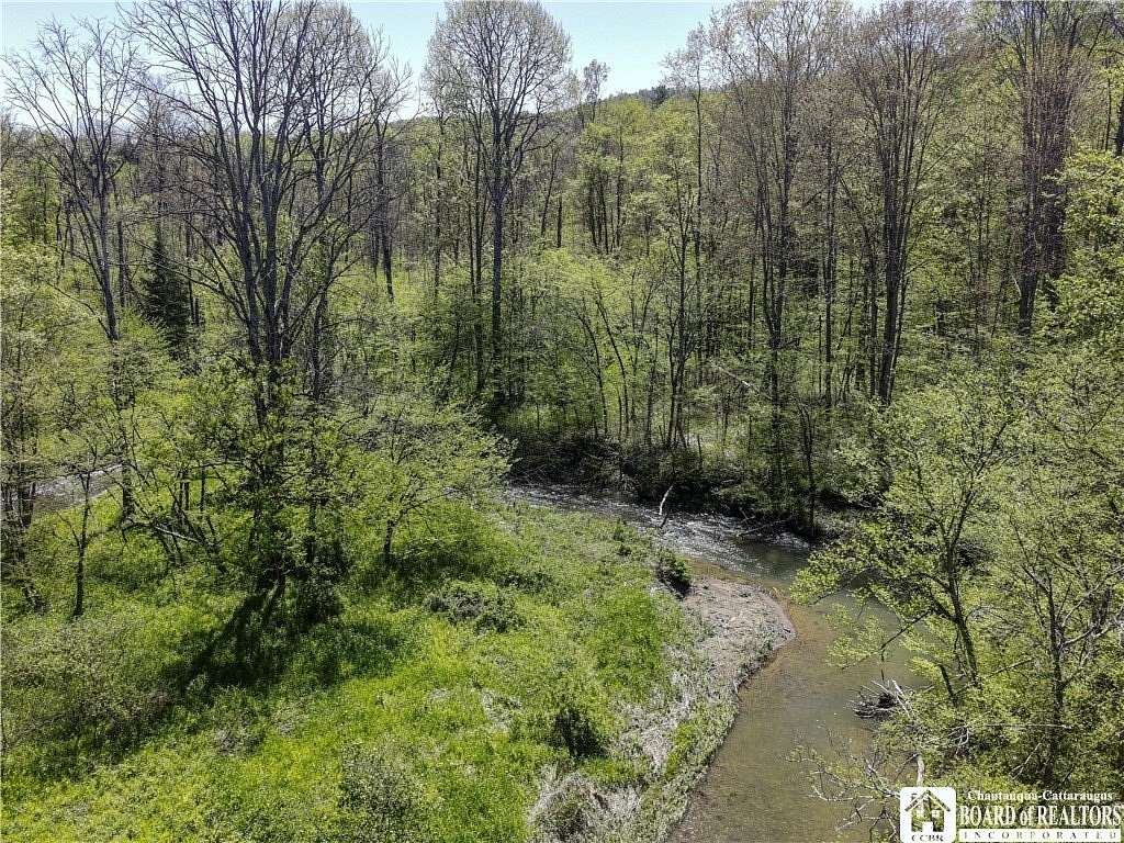 50 Acres of Recreational Land for Sale in Allegany, New York