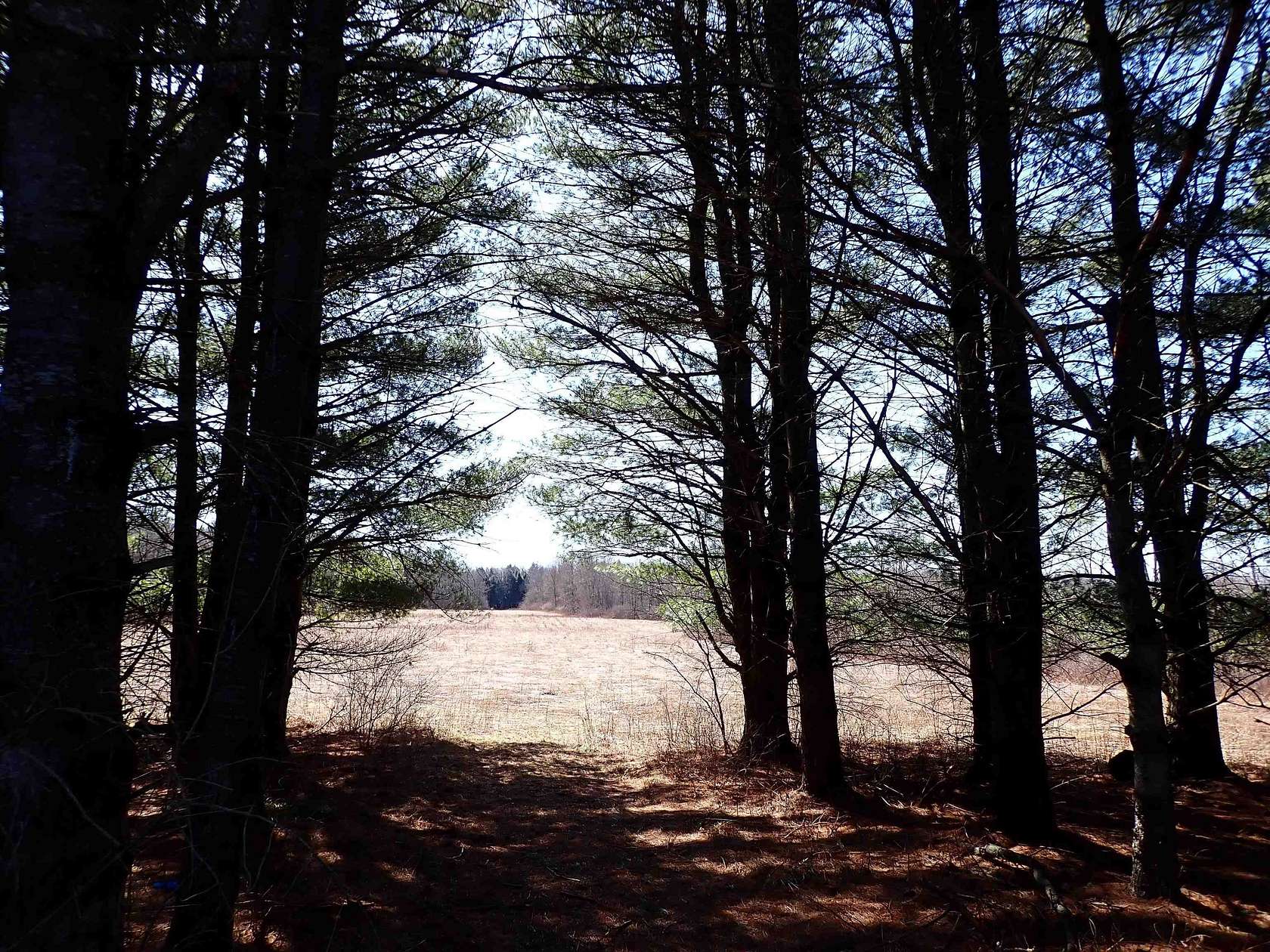 100 Acres of Land for Sale in Potsdam, New York