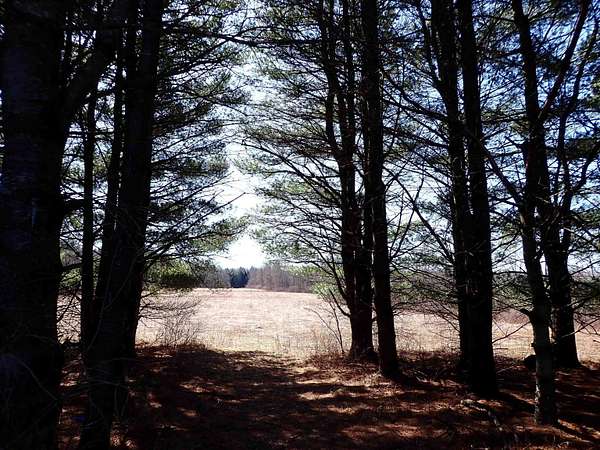100 Acres of Land for Sale in Potsdam, New York