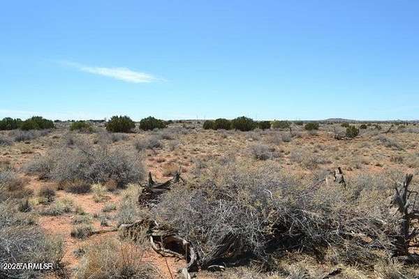 36.7 Acres of Land for Sale in Snowflake, Arizona