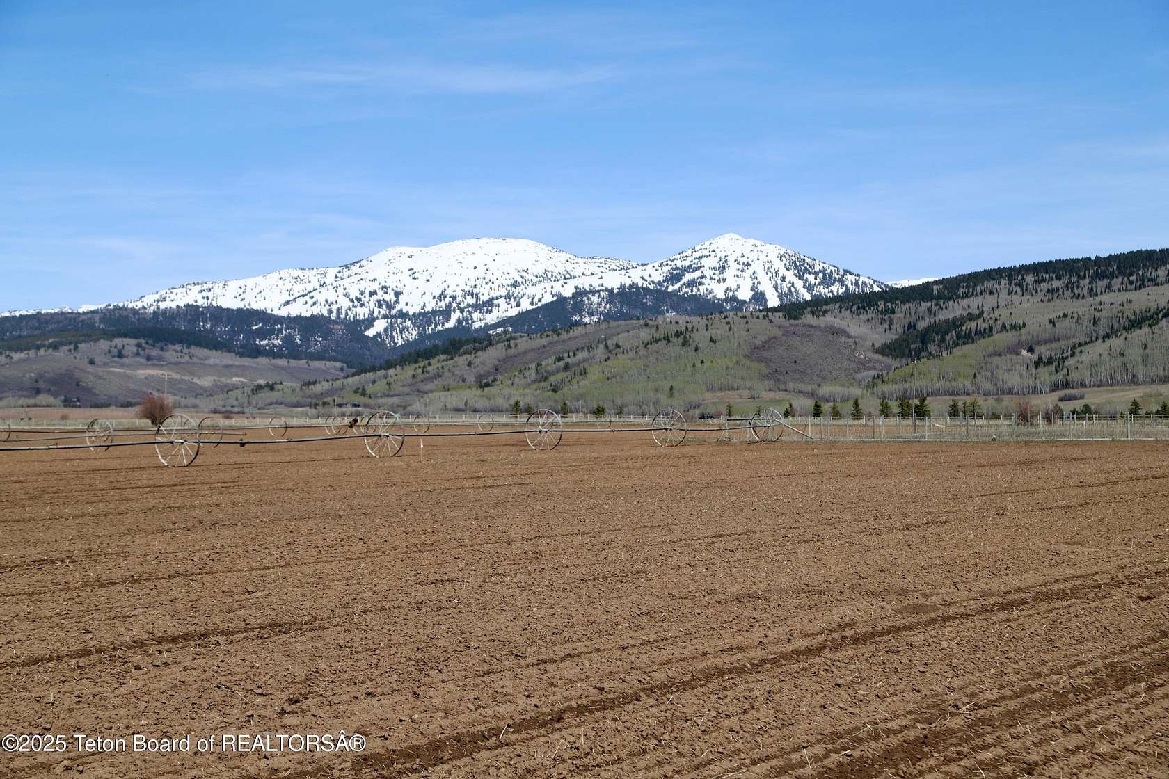18.3 Acres of Land for Sale in Driggs, Idaho