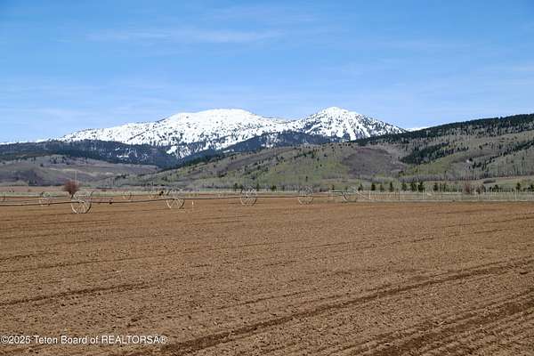 18.3 Acres of Land for Sale in Driggs, Idaho