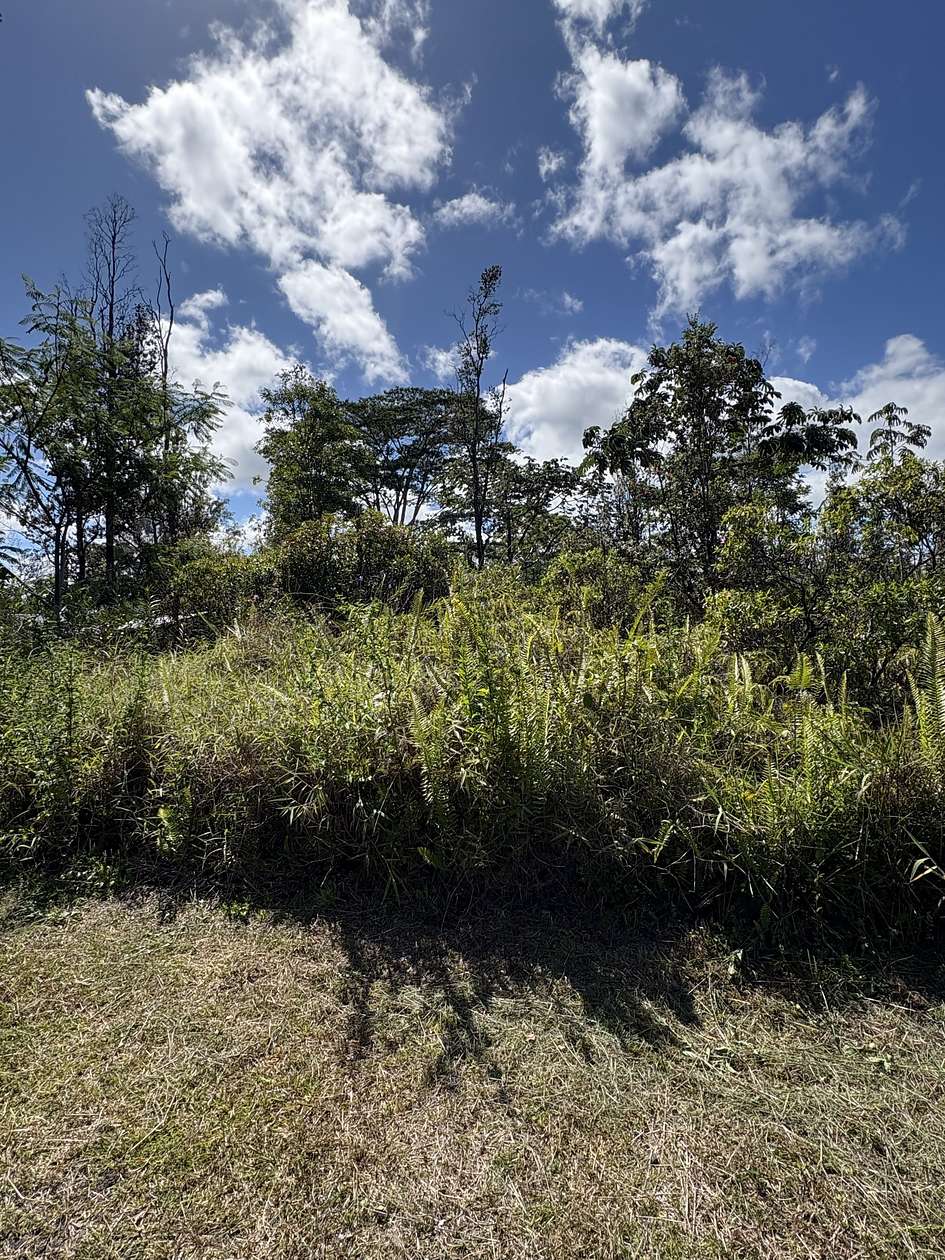 0.19 Acres of Land for Sale in Kurtistown, Hawaii