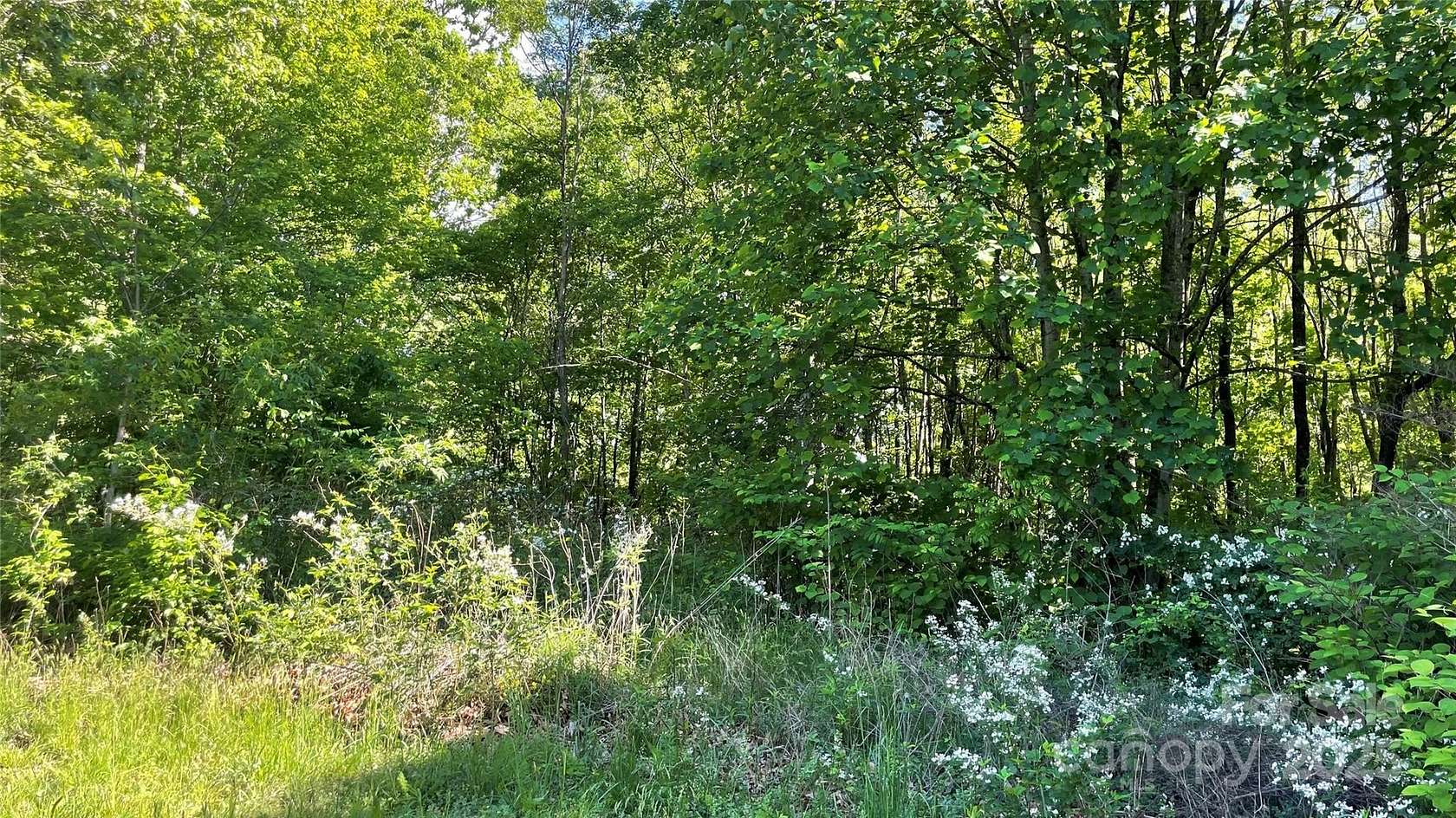 0.62 Acres of Residential Land for Sale in Candler, North Carolina