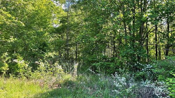 0.62 Acres of Residential Land for Sale in Candler, North Carolina