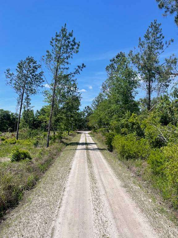 5.44 Acres of Mixed-Use Land for Sale in Early Branch, South Carolina