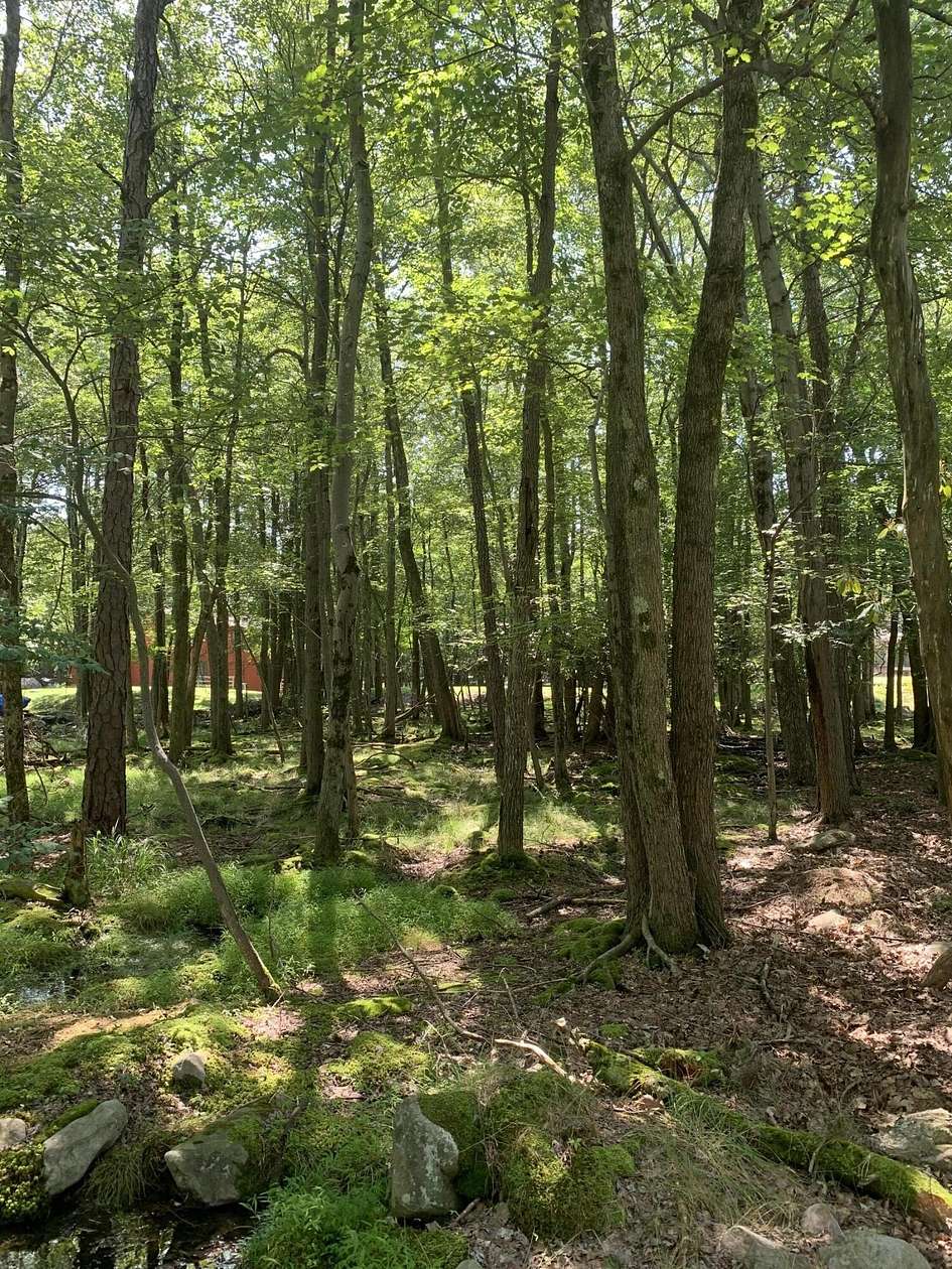 0.26 Acres of Residential Land for Sale in White Haven, Pennsylvania