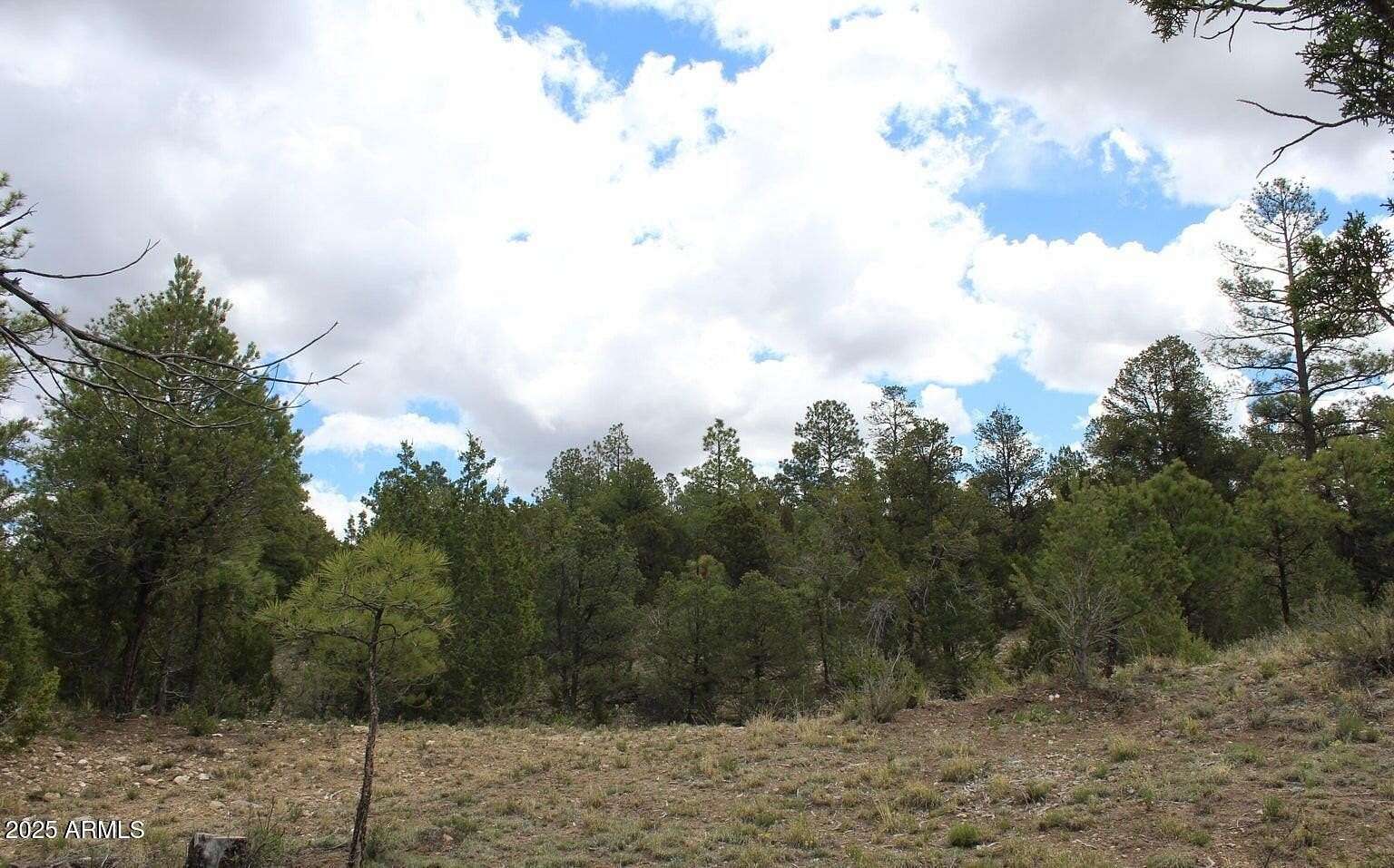 1.36 Acres of Residential Land for Sale in Heber, Arizona