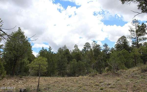 1.36 Acres of Residential Land for Sale in Heber, Arizona