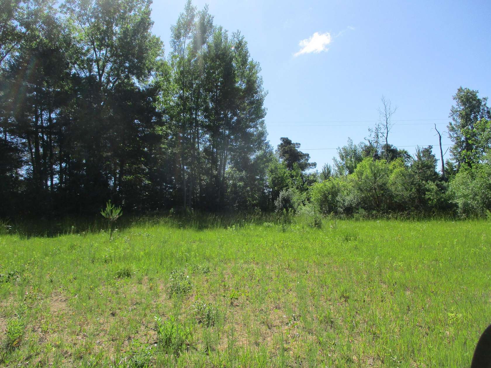 3 Acres of Land for Sale in Casnovia, Michigan
