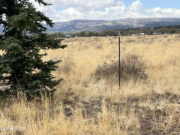 5.56 Acres of Mixed-Use Land for Sale in Springerville, Arizona