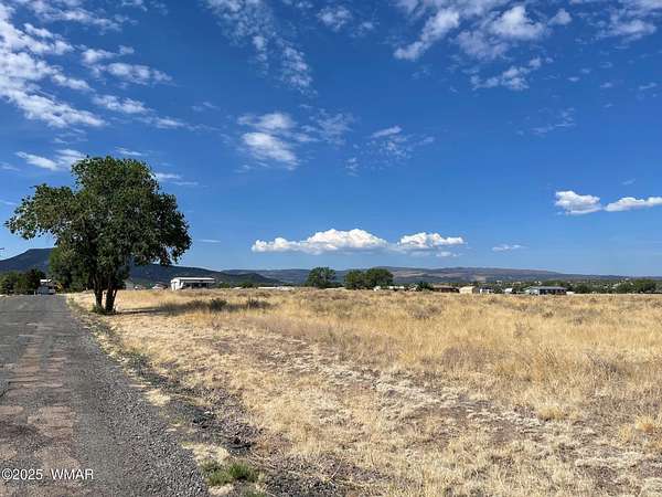 13.4 Acres of Land for Sale in Springerville, Arizona