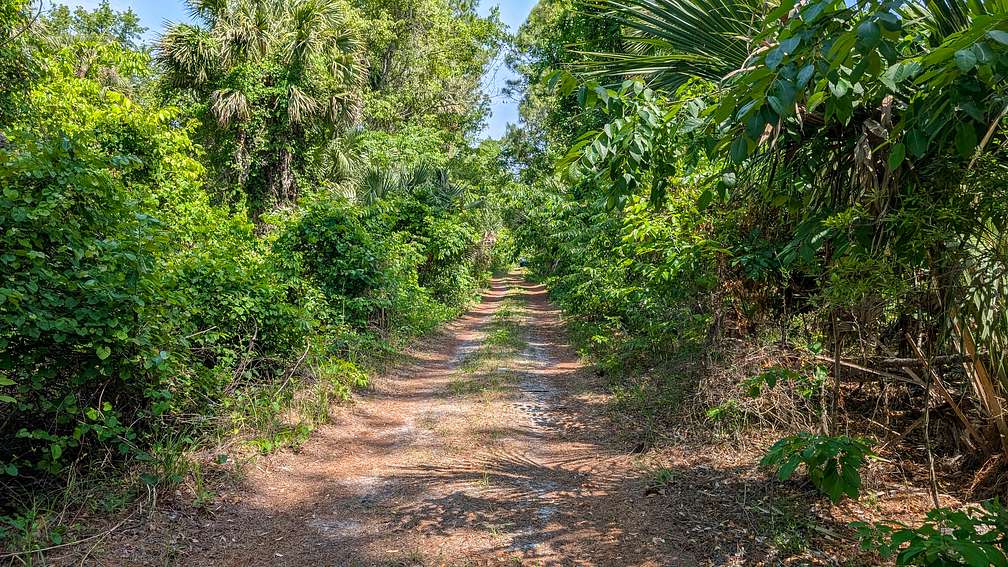 0.23 Acres of Residential Land for Sale in Georgetown, Florida